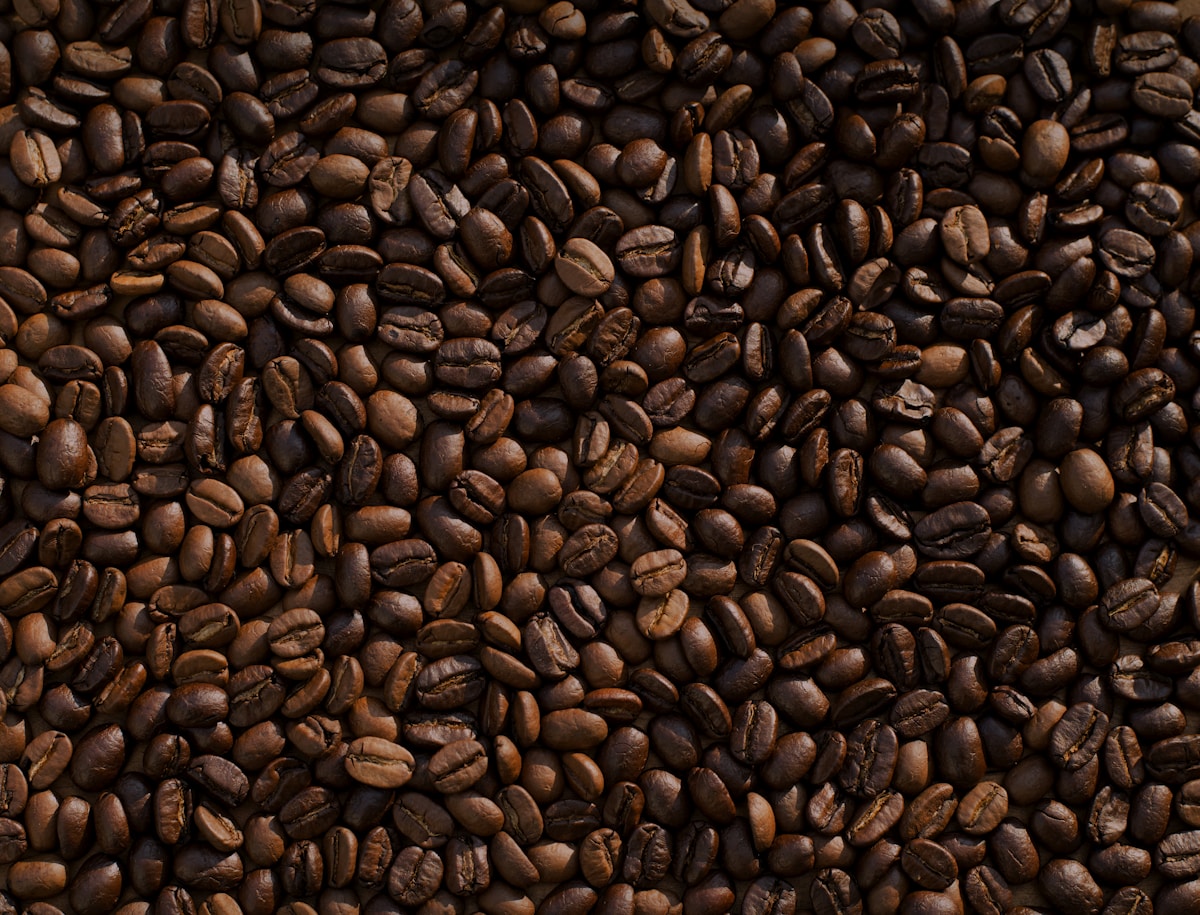 Ijen Arabica G1 - Green coffee beans