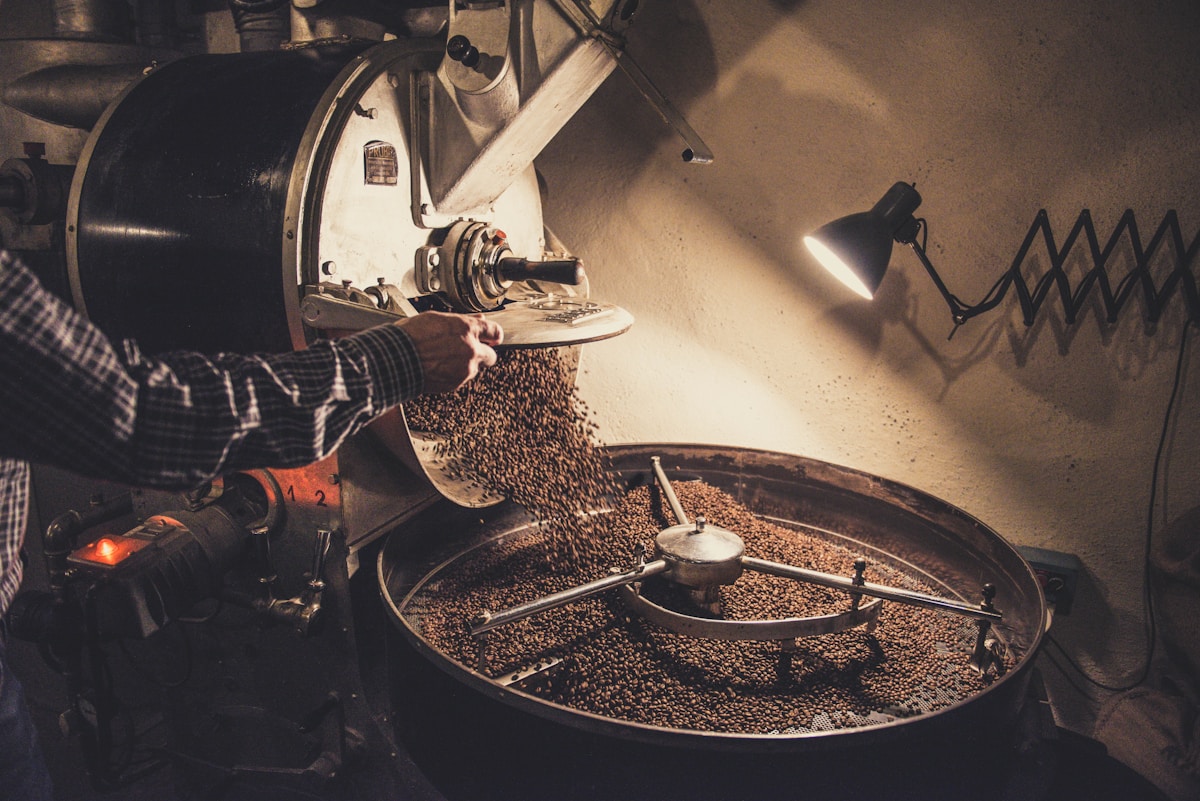 Ijen Arabica G2 - Green coffee beans